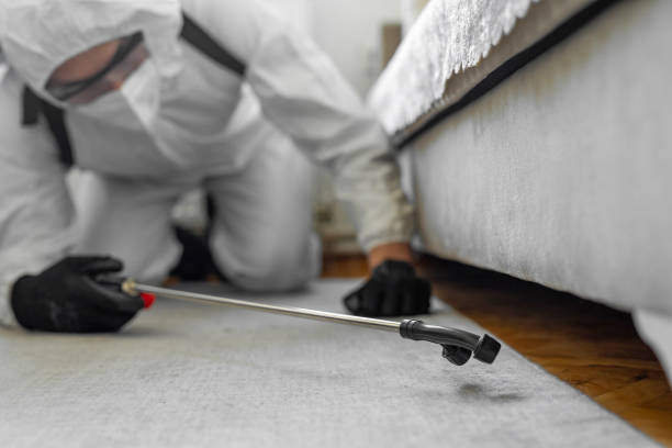 Professional Wasp Control technician working in Tawas City, MI