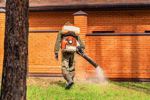 Trusted Rodent Control service in Tawas City, MI - Nex Pest Control